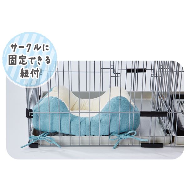どこからでも乗り降りしやすい パピーベッド ターコイズ (ペット住関連用品/ベット/ベッド)【代引不可】