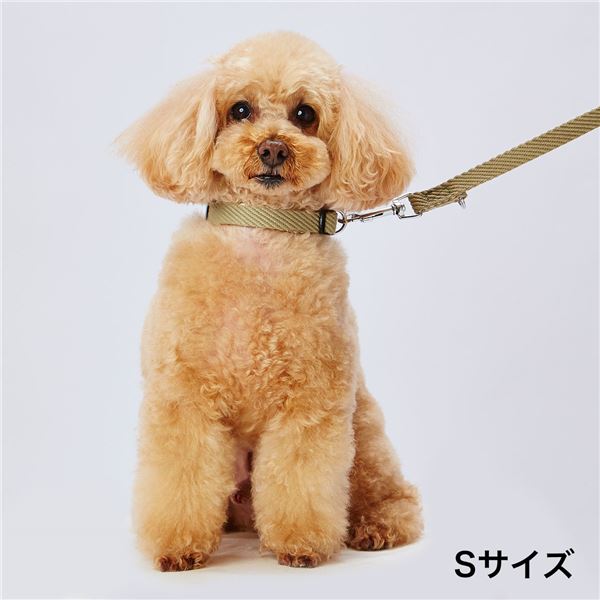 犬用引き紐 ソフトスキップリード S グリーン （ペット用品・犬用）【代引不可】