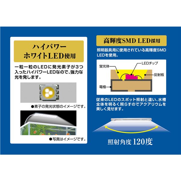 GEX クリアLED エコリオアーム パワー ホワイト (ペット用品)【代引不可】