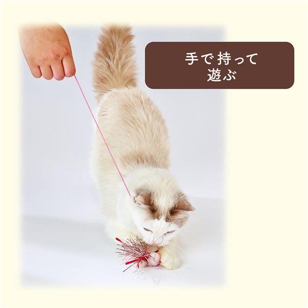 （まとめ）Happiness Cat ひもじゃらし パールピンク【×5セット】 (猫用玩具)【代引不可】