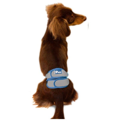 男の子のためのマナーホルダーActive SS (犬 衛生用品/シーツ)【代引不可】
