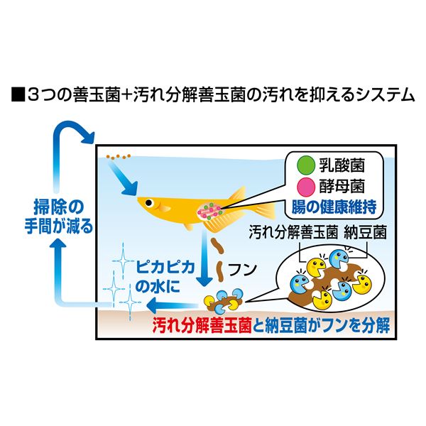 （まとめ）メダカ元気 プロバイオフードクリア 130g 川魚用フード 【×3セット】【代引不可】