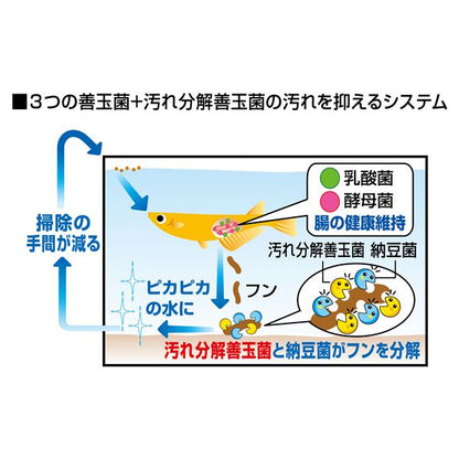 （まとめ）メダカ元気 プロバイオフードクリア 130g 川魚用フード 【×3セット】【代引不可】