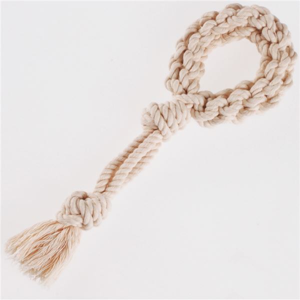 （まとめ）ドギーマン毎日ハミガキコットン ループ S【×6セット】【代引不可】