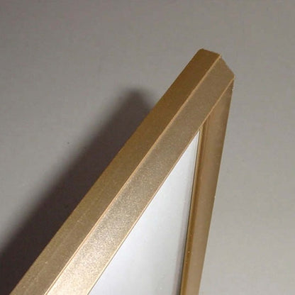 デッサン額縁 額 フレーム 〔 インチサイズ 254×203mm 〕 ゴールド 壁掛けひも付き 化粧箱入り 5003