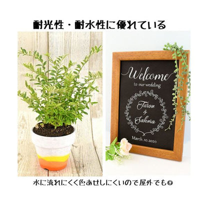 （まとめ）サクラクレパス 水性マーカー ピグマックス 細字 8色セット ZPK-S8 1パック【×3セット】