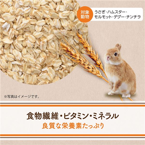 （まとめ） ヘルシーレシピ オートミール 150g 【×5セット】 ウサギ用フード【代引不可】