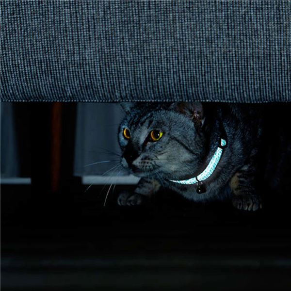 （まとめ）フラッシュソフトキャットカラー ピンク【×3セット】 (猫用品/首輪)【代引不可】