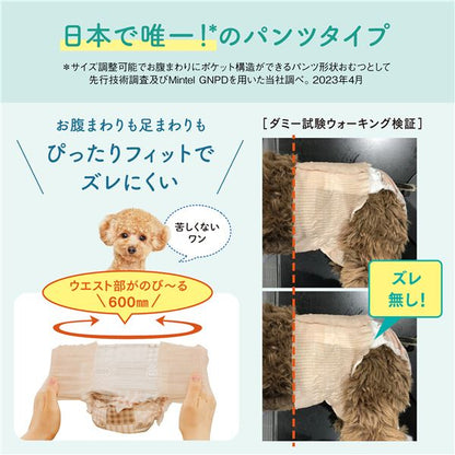大王製紙 キミおもい アクティブウェア SSS-S 30枚 （犬用 衛生用品／紙オムツ）【代引不可】