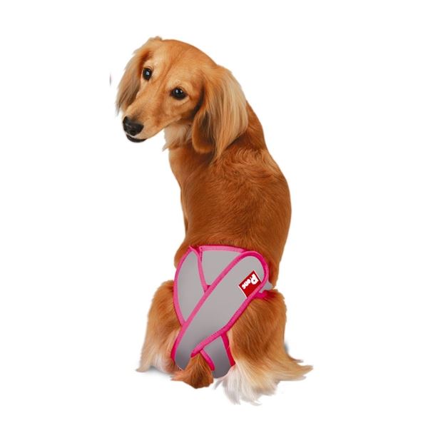 女の子のためのマナーホルダーActive S (犬 衛生用品/シーツ)【代引不可】