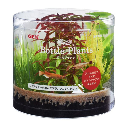 （まとめ）癒し水景 ボトルプランツ ロタラ【×3セット】 (観賞魚/水槽用品)【代引不可】