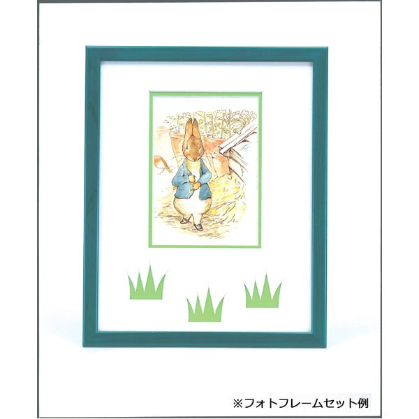 ピーターラビット ポストカード ラビット絵葉書 25枚セット 5種各5枚 絵はがき 絵ハガキ