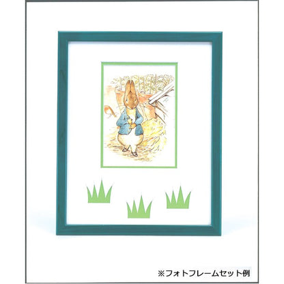 ピーターラビット ポストカード ラビット絵葉書 25枚セット 5種各5枚 絵はがき 絵ハガキ