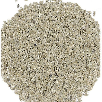 （まとめ）アシストONE カナリアシード 200g 鳥エサ 【×10セット】【代引不可】