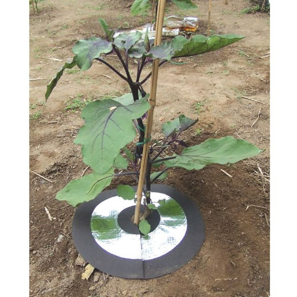 虫よけ しきわらいらず 直径約25cm 6枚組 ピン付き 家庭菜園 畑仕事 農作業 害虫対策用品 雑草対策 ガーデニング用品 園芸用品
