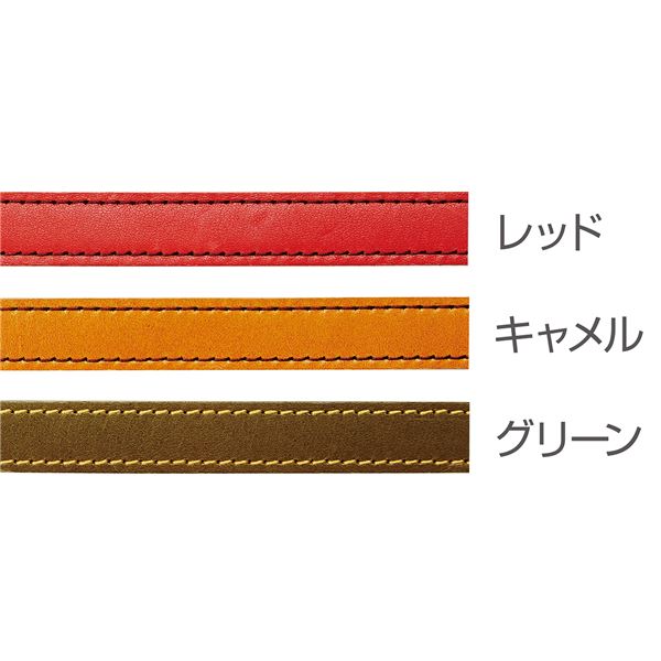 アンティークレザースタイルカラー XS レッド (犬用品/首輪)【代引不可】