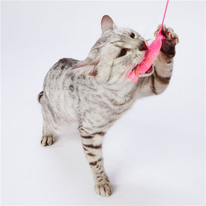 （まとめ）仔猫用 はがためフィッシュ猫じゃらし【×5セット】 (猫用玩具)【代引不可】