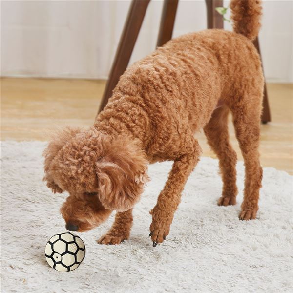 （まとめ）サイレントドッグラテックス サッカーボール【×3セット】 (犬用玩具)【代引不可】