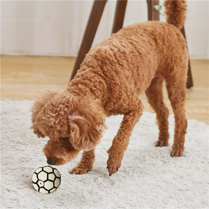 （まとめ）サイレントドッグラテックス サッカーボール【×3セット】 (犬用玩具)【代引不可】