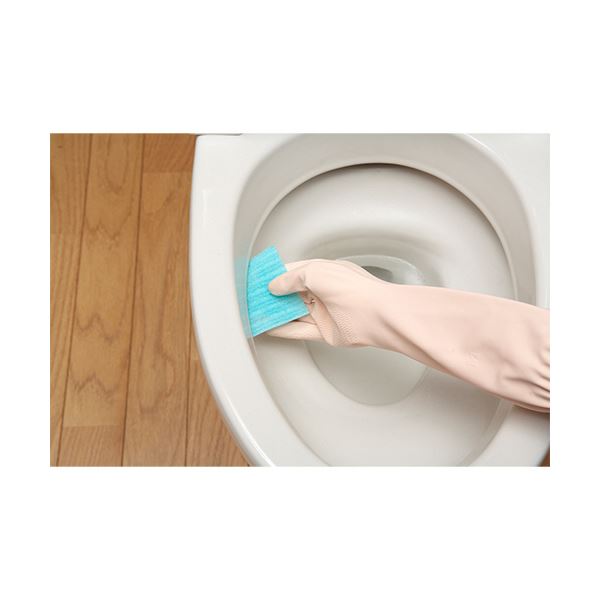 （まとめ） サンコーびっくりフレッシュ ピカピカトイレ直洗い H-08 1箱（20枚） 【×3セット】