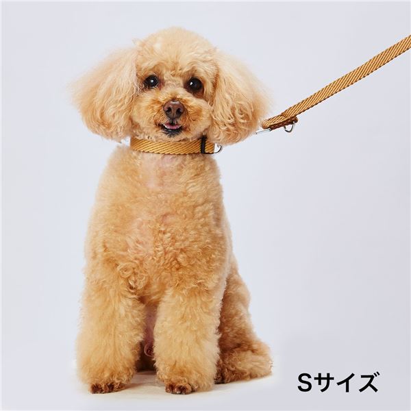 （まとめ） 犬用首輪 ソフトスキップカラーS ベージュ （ペット用品・犬用） 【×2セット】【代引不可】