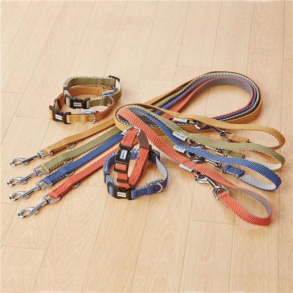 （まとめ） 犬用首輪 ソフトスキップカラーS ベージュ （ペット用品・犬用） 【×2セット】【代引不可】