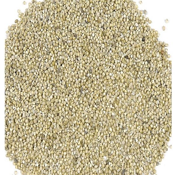 （まとめ）アシストONE 粟玉 180g 鳥エサ 【×10セット】【代引不可】