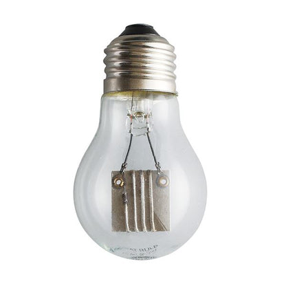 （まとめ）保温電球 20W【×2セット】 (小動物用品)【代引不可】