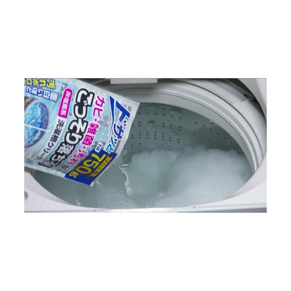 （まとめ） 紀陽除虫菊非塩素系洗濯槽クリーナー 750g K-7073 1個 【×3セット】