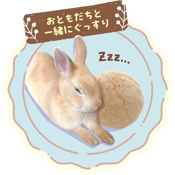 （まとめ）たち耳ちゃんのうさけつボール 【×3セット】【代引不可】