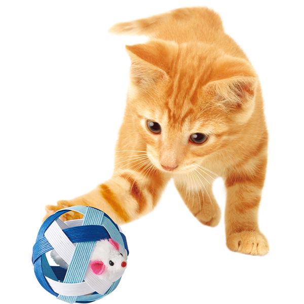 （まとめ）にゃんこたいむ ころころボール マウスとビーズ【×5セット】 (猫用玩具)【代引不可】