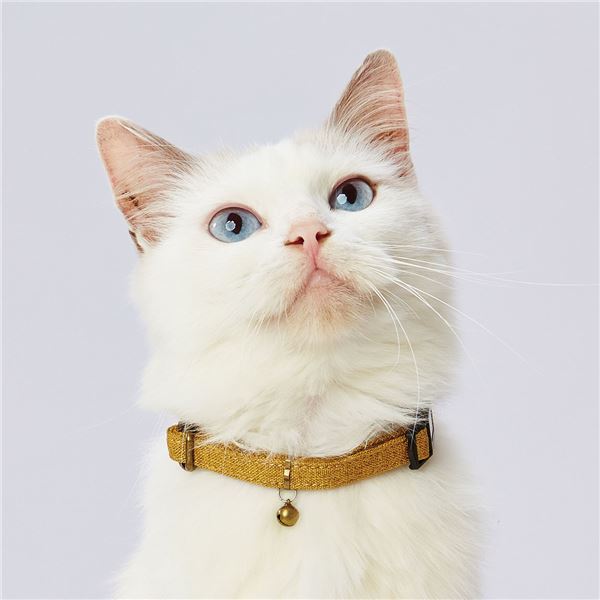 （まとめ）necoco キャットカラー イエロー【×3セット】 (猫用品/首輪)【代引不可】