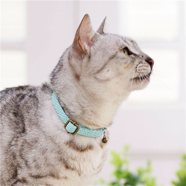 （まとめ）フラッシュソフトキャットカラー ブルー【×3セット】 (猫用品/首輪)【代引不可】