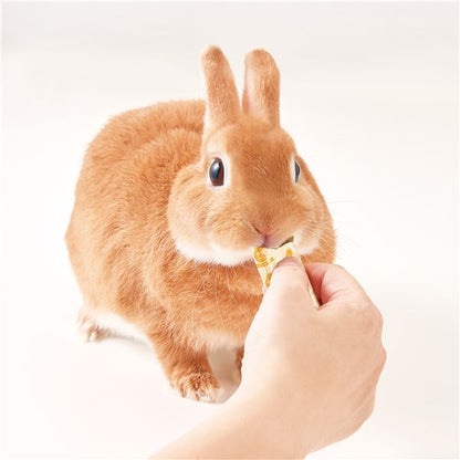 （まとめ）マルカン 快腸ぐらし うさぎのぴゅーれ チモシー＆パイン 3g×10本 ウサギフード 【10セット】【代引不可】