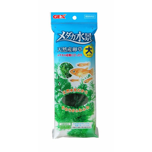 （まとめ）メダカ水景 天然産卵草 大【×3セット】 (観賞魚/水槽用品)【代引不可】