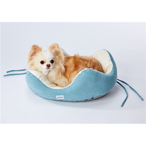 どこからでも乗り降りしやすい パピーベッド ターコイズ (ペット住関連用品/ベット/ベッド)【代引不可】