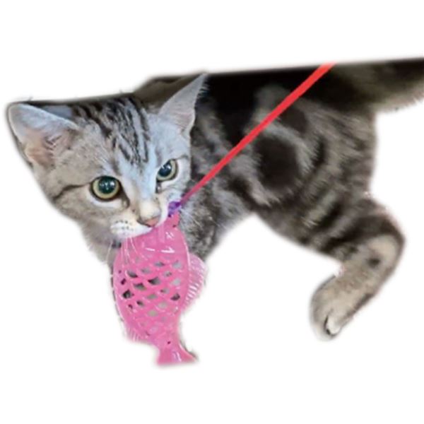 （まとめ）仔猫用 はがためフィッシュ猫じゃらし【×5セット】 (猫用玩具)【代引不可】