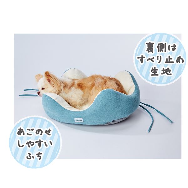 どこからでも乗り降りしやすい パピーベッド ターコイズ (ペット住関連用品/ベット/ベッド)【代引不可】