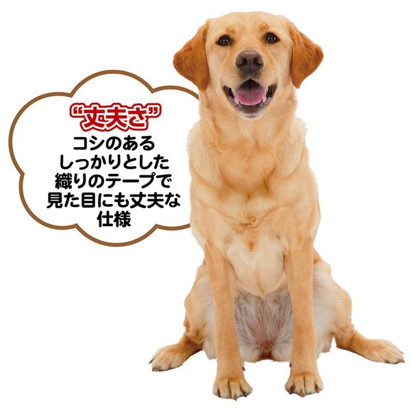 （まとめ）メリカジ スターリード S レッド【×3セット】 (犬用品/リード)【代引不可】