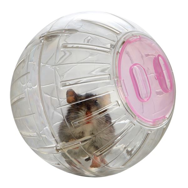 （まとめ）ハムちゃんのプレイボール S【×3セット】 (小動物用品/玩具)【代引不可】