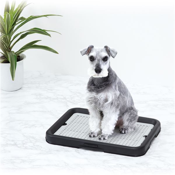 わんトレー ブラック (犬 衛生用品/トイレ)【代引不可】