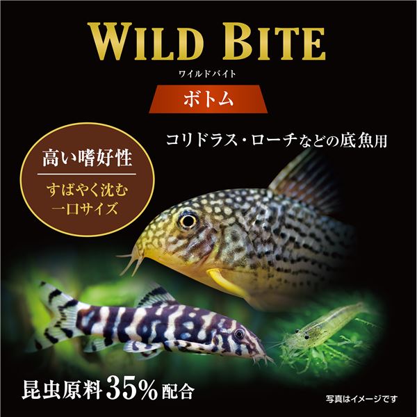 (まとめ）ワイルドバイト ボトム 45g【×5セット】（ペット用品）【代引不可】