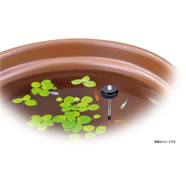 (まとめ) GEX 浮くクリスタル水温計 【×5セット】 (ペット用品)【代引不可】