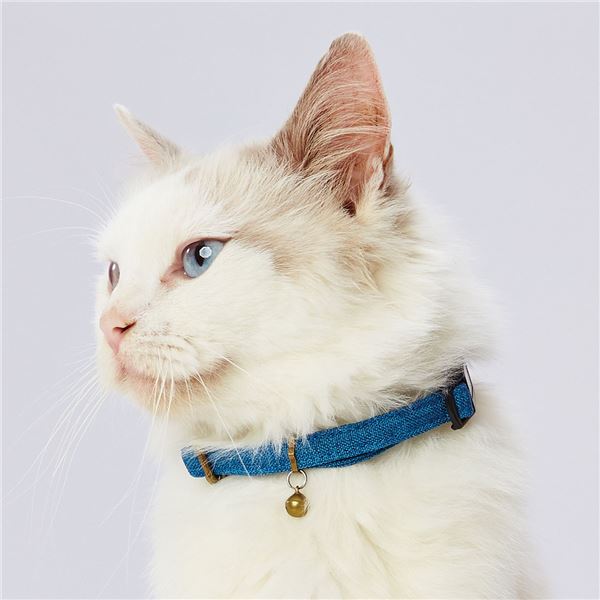 （まとめ）necoco キャットカラー ブルー【×3セット】 (猫用品/首輪)【代引不可】