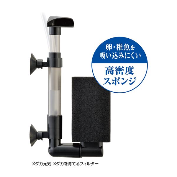 (まとめ) GEX メダカ元気 メダカを育てるフィルター交換スポンジ 【×5セット】 (ペット用品)【代引不可】