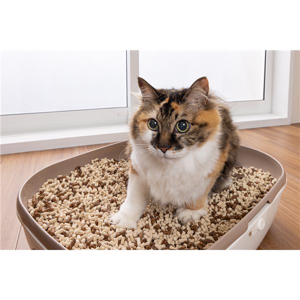 ペットの脱臭トイレ砂 脱臭梅 7L ペット用品・猫用【代引不可】
