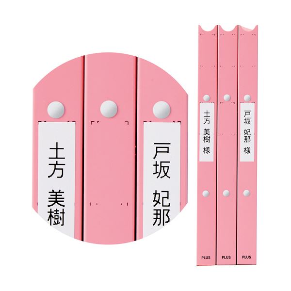 （まとめ） プラス たすけあ利用者カルテ リングファイル 厚幅 A4タテ 背幅33mm ピンク FL-808RF-PK 1冊 【×2セット】